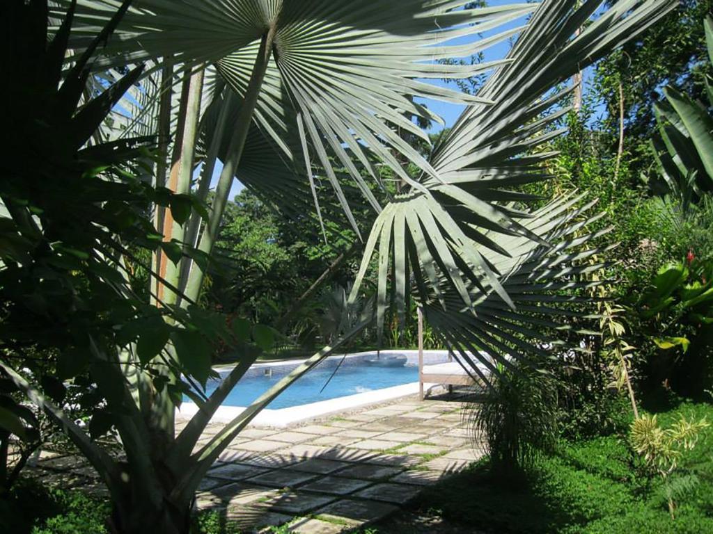Vip Hotel Playa Negra Puerto Viejo de Talamanca Екстер'єр фото
