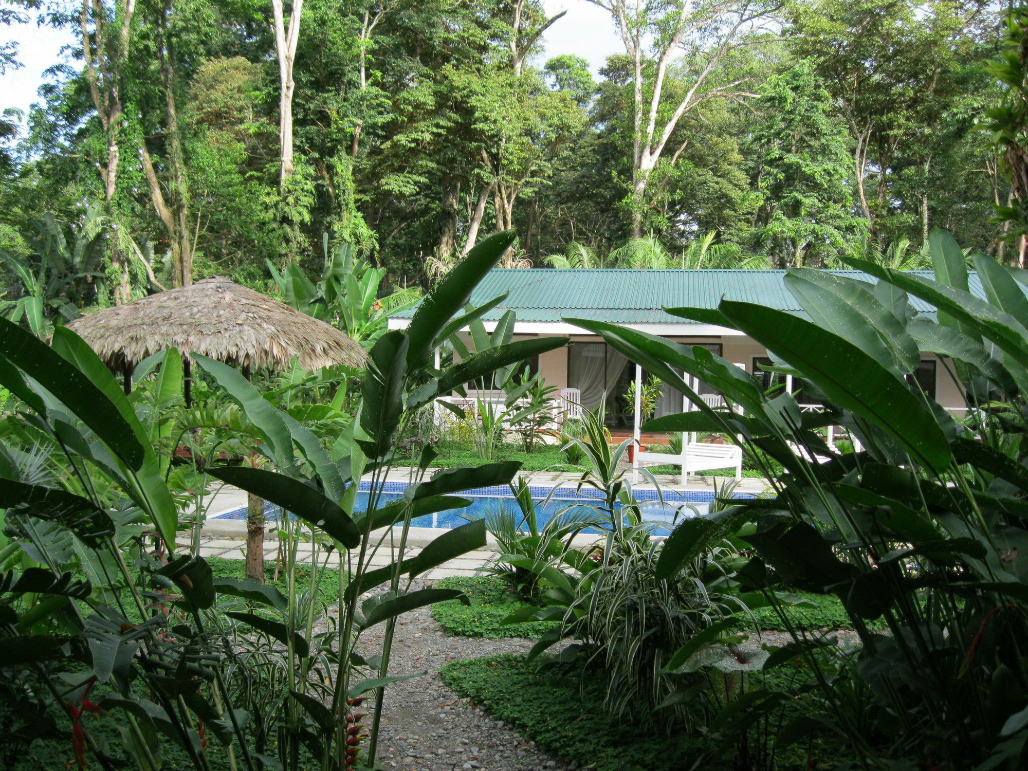 Vip Hotel Playa Negra Puerto Viejo de Talamanca Екстер'єр фото